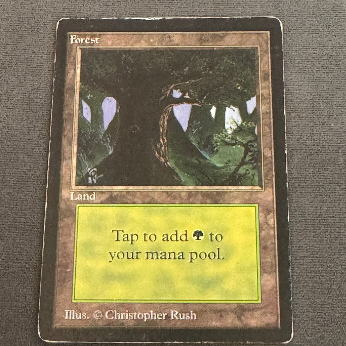 Forest (C) Limited Edition Beta 302 MTG Magic The Gathering LP