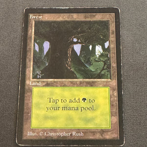 Forest (C) Limited Edition Beta 302 MTG Magic The Gathering LP 1