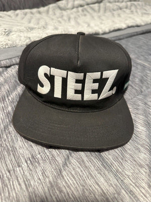10 x Fitted Hat Lot: Undefeated, Never Satisfied, PLAYER, Steez, WET, B, Irate + 1