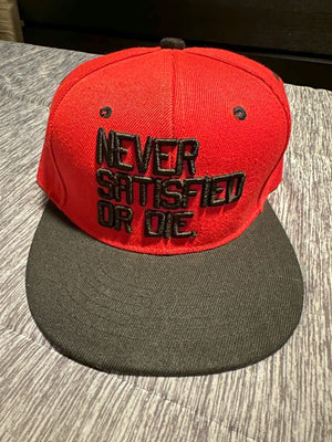 10 x Fitted Hat Lot: Undefeated, Never Satisfied, PLAYER, Steez, WET, B, Irate + 4