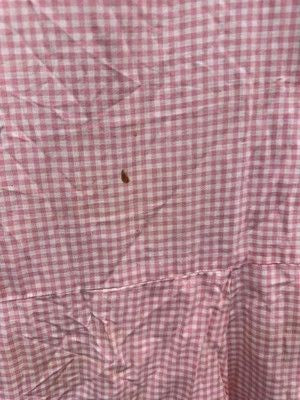 Vintage Pink Gingham Dress Womens Large Sleeveless Drop Waist Ruffle Collar 60s 1