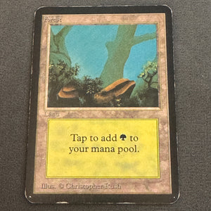 Forest (A) Limited Edition Alpha 294 MTG Magic The Gathering MP #1 1