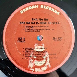 Sha Na Na Here To Stay Vinyl LP Record Used 3