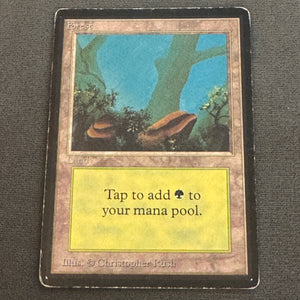 Forest (A) Limited Edition Beta 300 MTG Magic The Gathering MP 1
