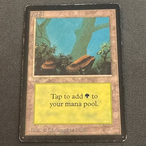 Forest (A) Limited Edition Beta 300 MTG Magic The Gathering MP #1 1