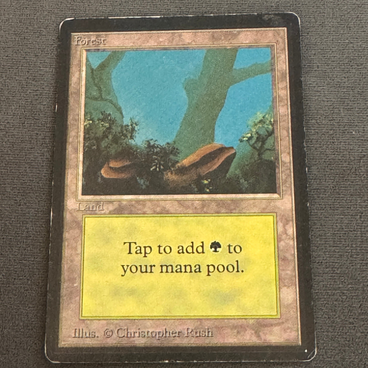 Forest (A) Limited Edition Beta 300 MTG Magic The Gathering MP #2
