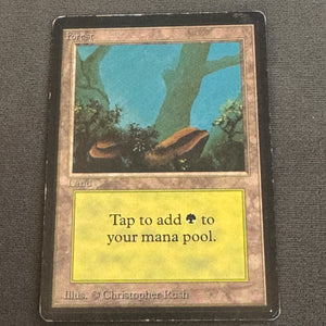 Forest (A) Limited Edition Beta 300 MTG Magic The Gathering MP #2 1