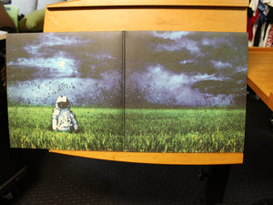 Brand New - Deja Entendu (2xLP, Album, RE, 180) 2