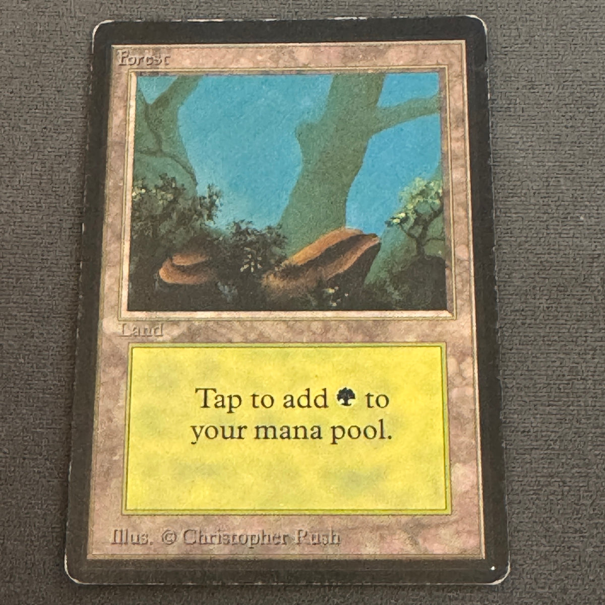 Forest (B) Limited Edition Beta 301 MTG Magic The Gathering MP