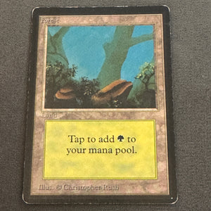 Forest (B) Limited Edition Beta 301 MTG Magic The Gathering MP 1