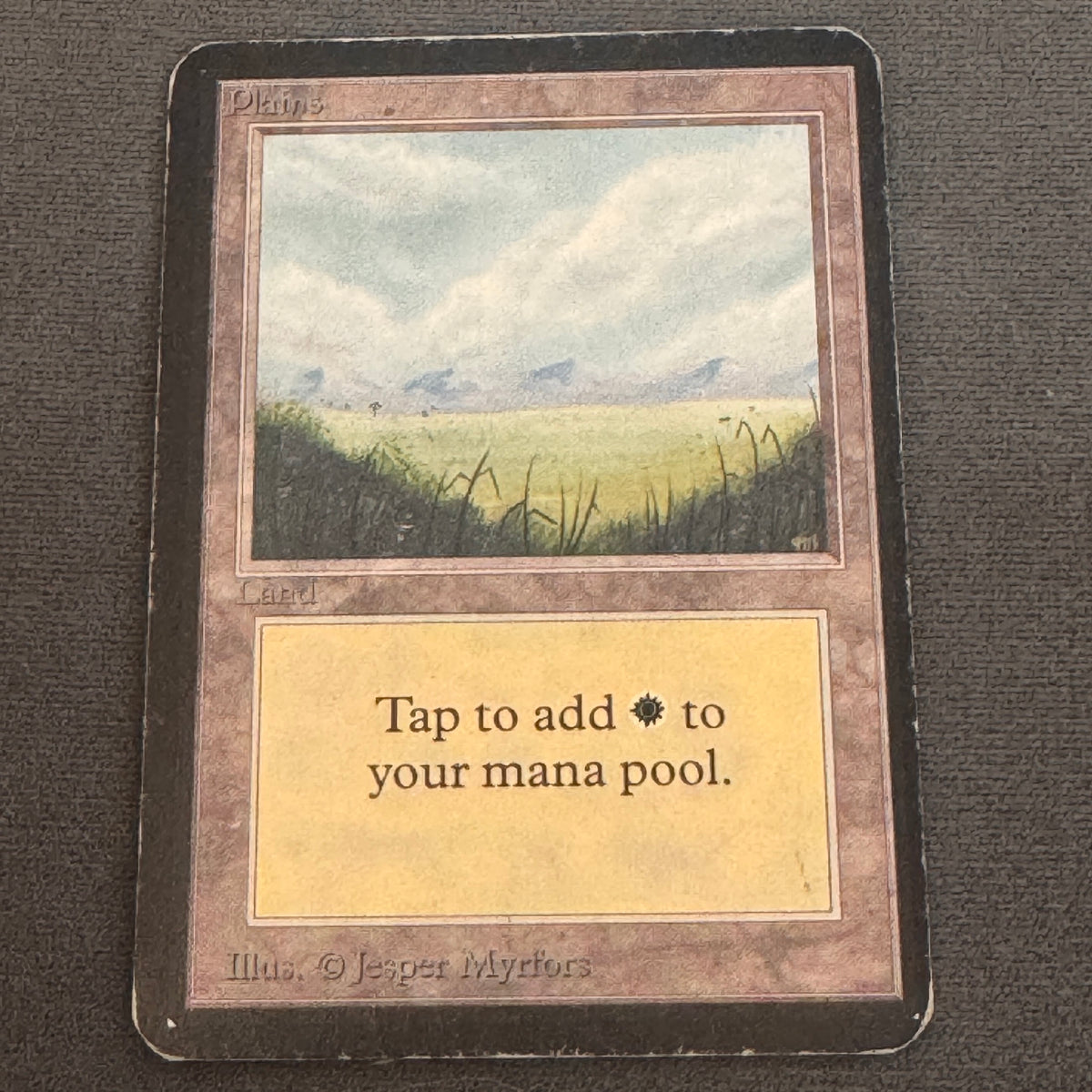 Plains (B) Limited Edition Beta 289 MTG Magic The Gathering MP