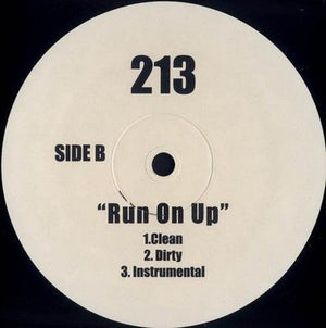 213 Fly / Run On Up 12" Vinyl Record 2