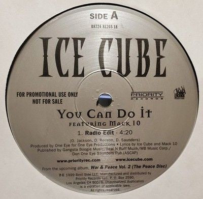 Ice Cube featuring Mack 10 You Can Do It 12" Vinyl Record