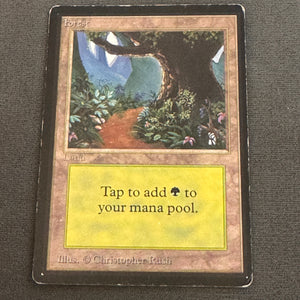 Forest (B) Limited Edition Beta 301 MTG Magic The Gathering MP #2 1