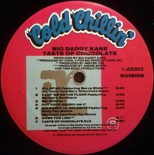 Big Daddy Kane Taste Of Chocolate Vinyl LP Record Used Hip Hop 3