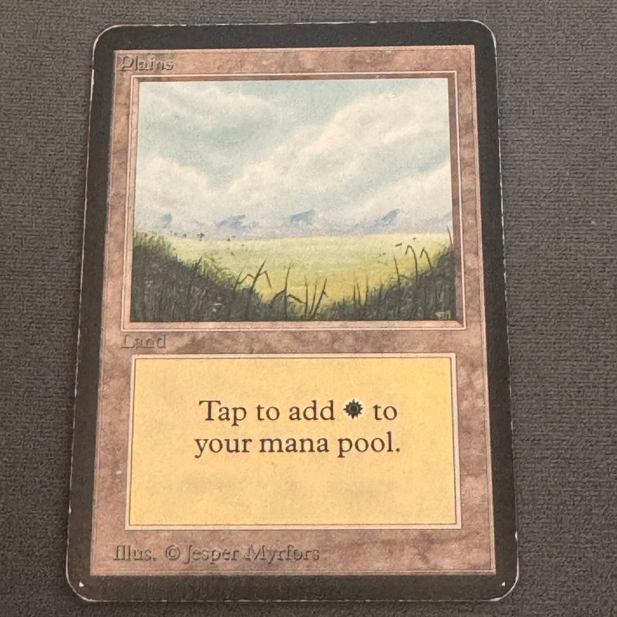 Plains (A) Limited Edition Beta 288 MTG Magic The Gathering MP