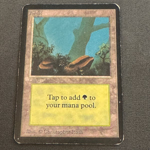 Forest (A) Limited Edition Alpha 294 MTG Magic The Gathering LP 1