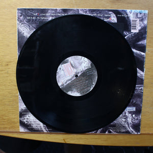 Stevie Nicks Rock a Little LP Modern Records MR 1001 3