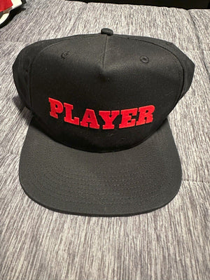 10 x Fitted Hat Lot: Undefeated, Never Satisfied, PLAYER, Steez, WET, B, Irate + 5
