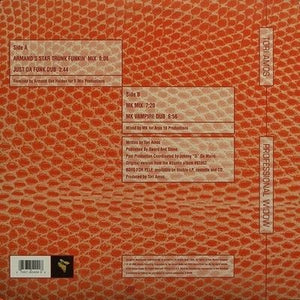 Tori Amos Professional Widow 12 Inch Vinyl Record Used 4