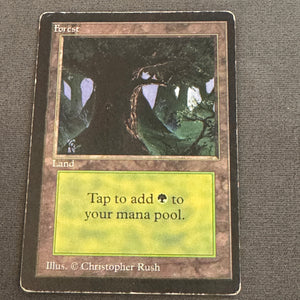 Forest (B) Limited Edition Beta 301 MTG Magic The Gathering HP #3 1
