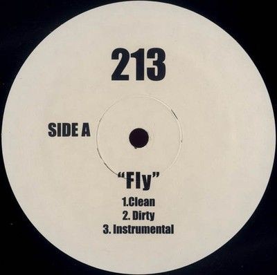213 Fly / Run On Up 12" Vinyl Record